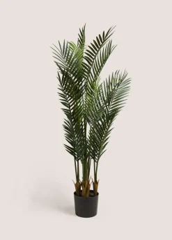 Dark Palm Tree