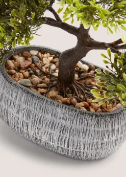 Loft Bonsai Tree