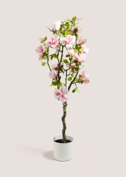 Magnolia Tree