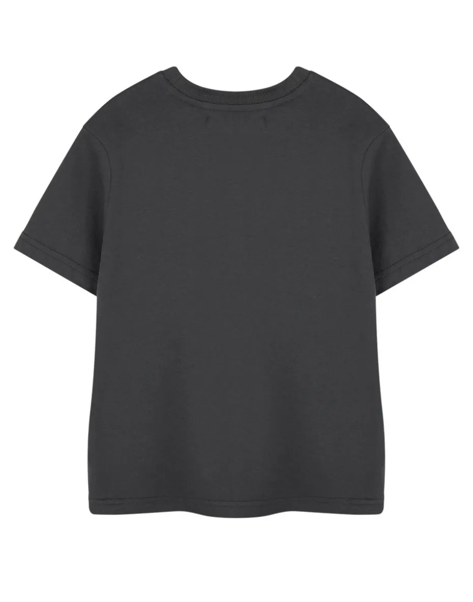 Marvel Spiderman Friendly Neighbourhood Kids Charcoal T-Shirt (2-14 Years)