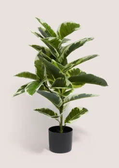 Oak Tree (75 cm)