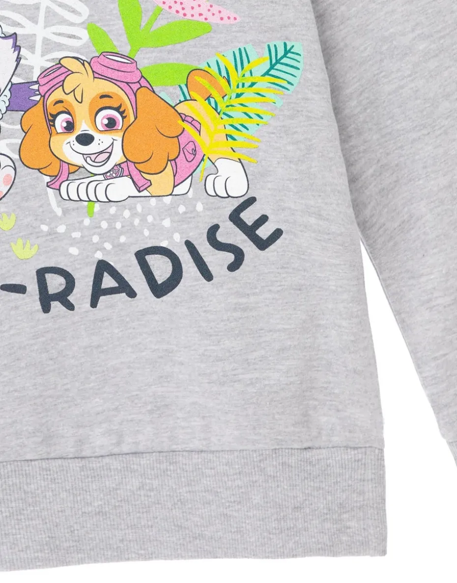 Paw Patrol Paw Radise Kids Grey Marl Hoodie (3-8 years)