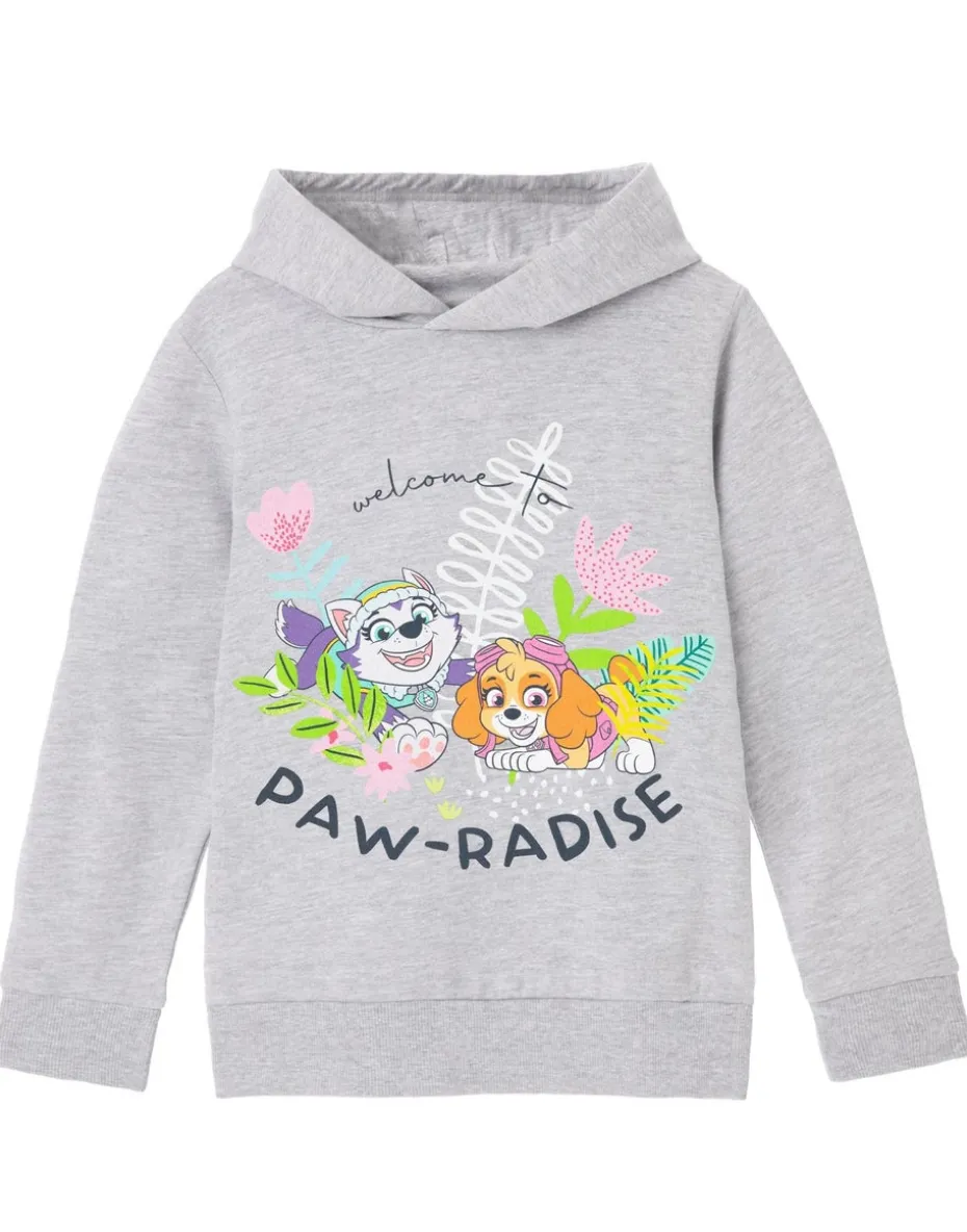 Paw Patrol Paw Radise Kids Grey Marl Hoodie (3-8 years)