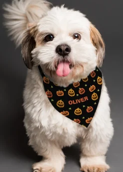 Personalised Memento Company Black Pumpkin Patch Dog Bandana