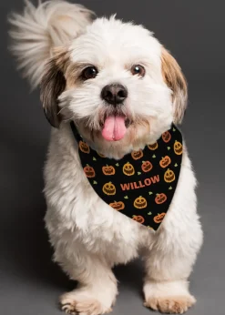 Personalised Memento Company Black Pumpkin Patch Dog Bandana