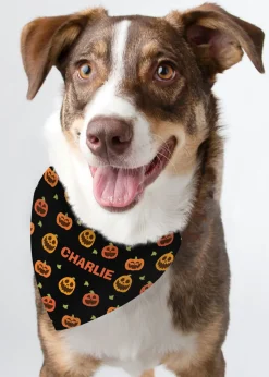 Personalised Memento Company Black Pumpkin Patch Dog Bandana