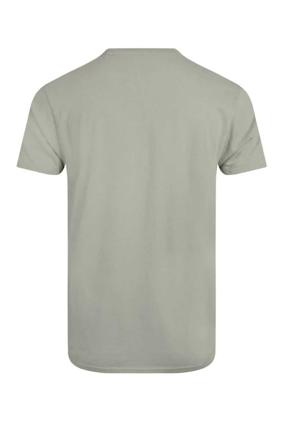 Weird Fish Grey Carp Side Front Print Artist T-Shirt