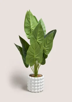 White Bobble Plant (65cm x 40cm x 40cm)