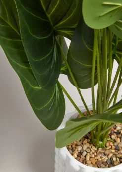 White Bobble Plant (65cm x 40cm x 40cm)