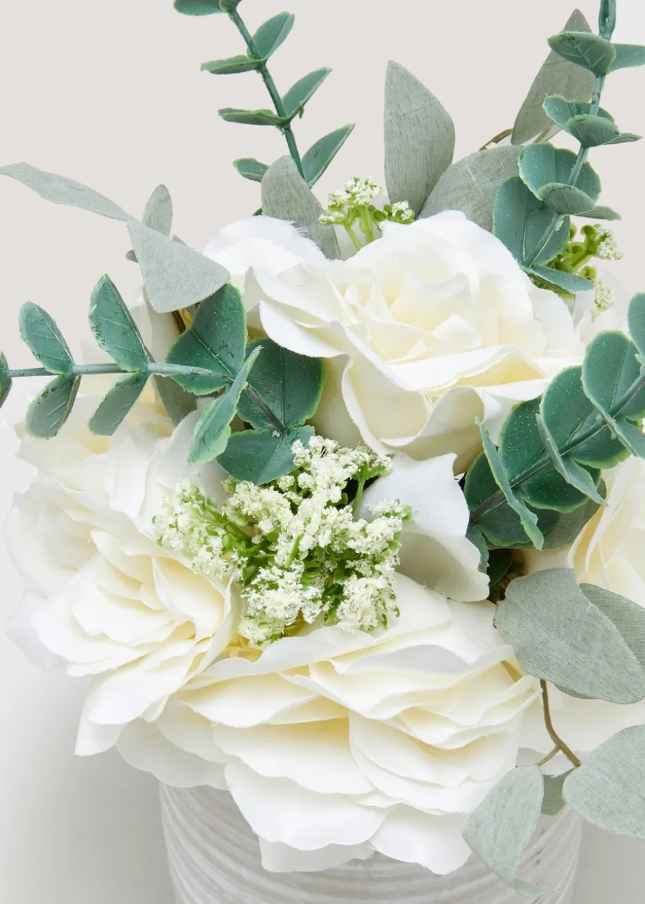 White Trailing Rose Plant