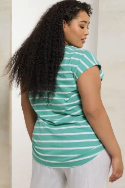 Yours Curve Teal Blue Striped Grown Sleeve Cotton T-Shirt